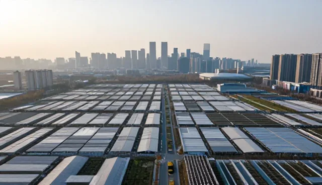 计算机系统软件定制开发中的部署与维护要点